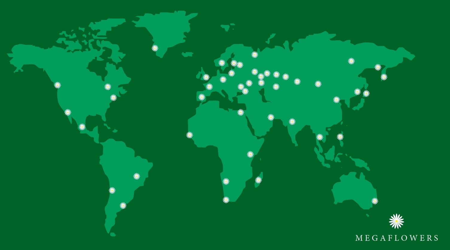 Delivery Card
Worldwide shipping